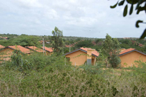 photo02