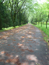 青梅練成道場