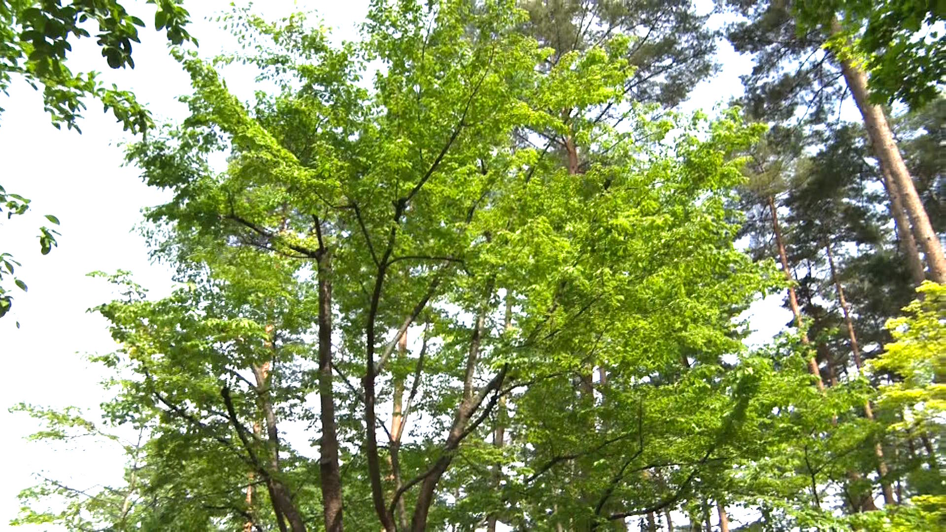 ゆっくり散策できる敷地内の自然庭園