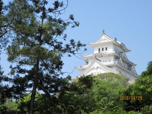 兵庫県姫路城（投稿者：城主さま）