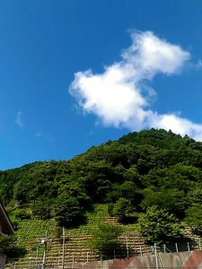 奈良県南部（投稿者：友里江）