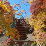 談山神社（投稿者：奈良のトトロ）