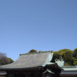武蔵一宮氷川神社(投稿者：みよちゃん )